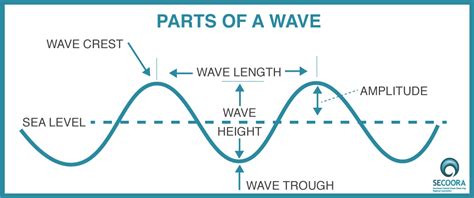 What are 4 parts of a wave?