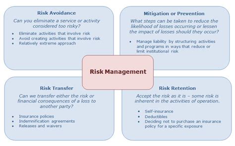 What are 4 types of risk management?