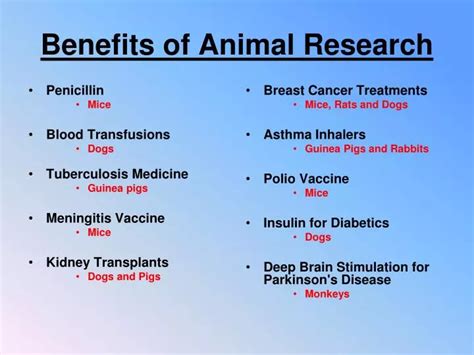 What are 5 benefits of animal testing?