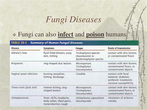 What are 5 diseases caused by fungi?