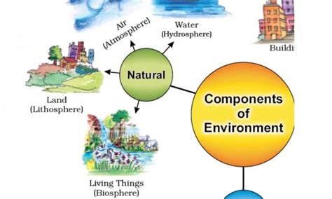 What are 5 examples of an environment?