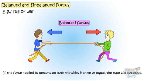 What are 5 examples of balanced forces?