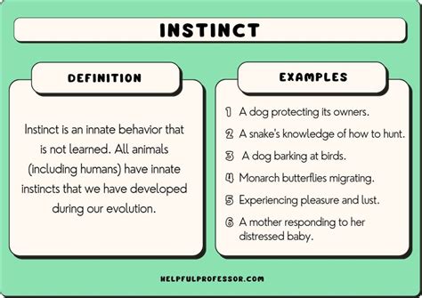 What are 5 examples of instincts?
