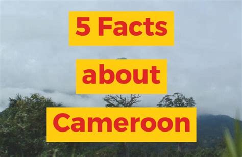 What are 5 facts about Cameroon?