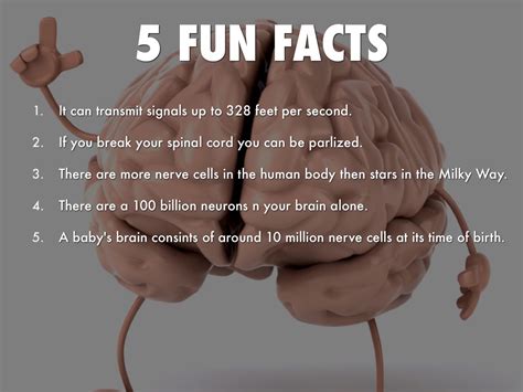 What are 5 fun facts?
