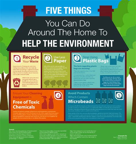 What are 5 things we get from the environment?