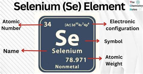 What are 5 uses of selenium?
