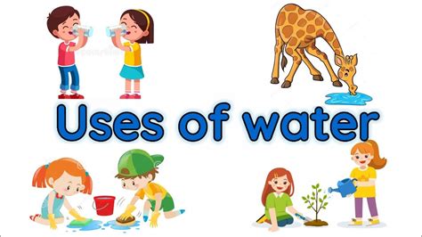 What are 5 ways we use water?