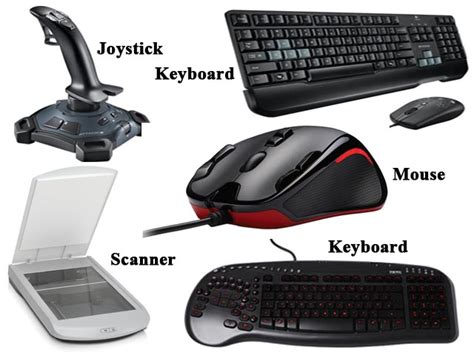 What are 6 input devices?