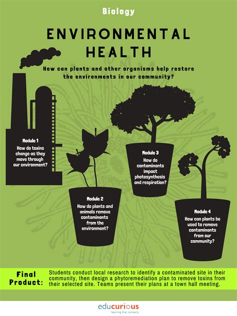 What are 7 healthy environments?