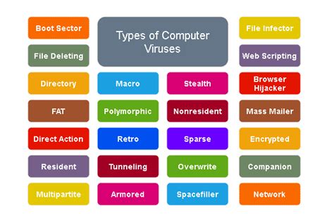 What are 7 types of computer virus?