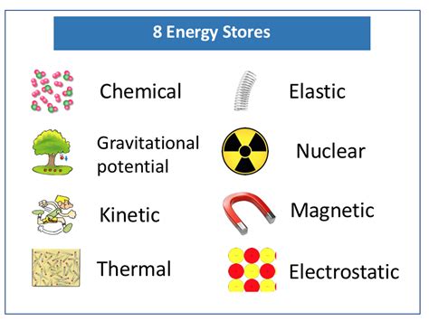 What are 8 energy stores?