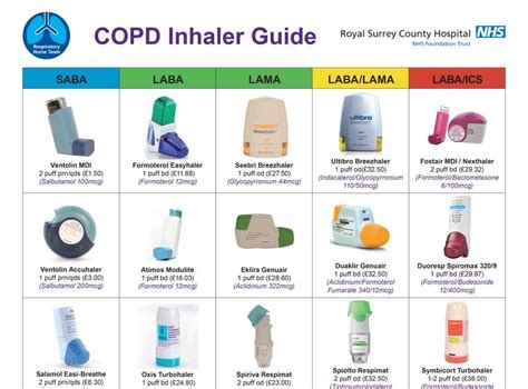 What are COPD inhalers called?