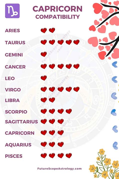 What are Capricorns mostly good at?