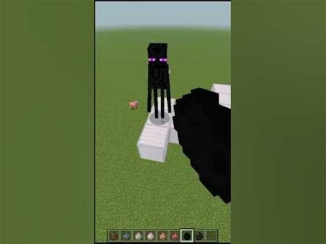 What are Enderman afraid of?