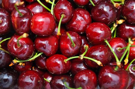 What are Italian cherries?