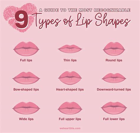 What are M shaped lips?