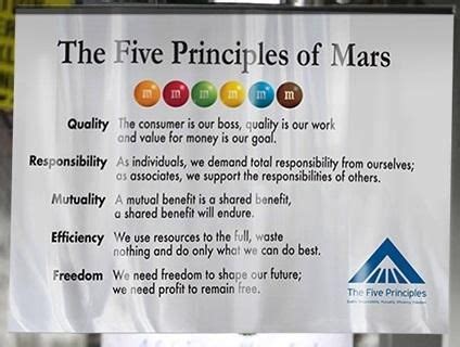 What are Mars 5 principles?