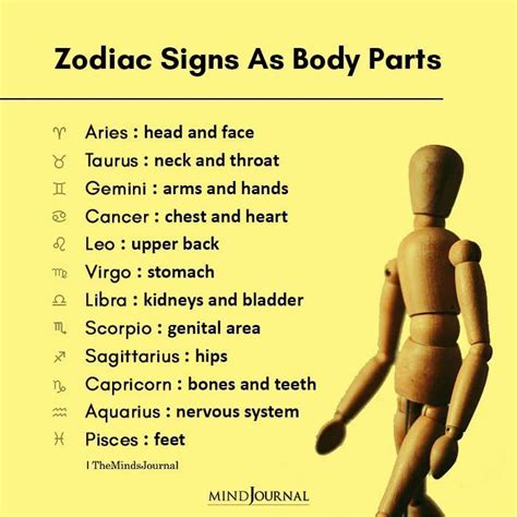 What are Scorpios favorite body part?