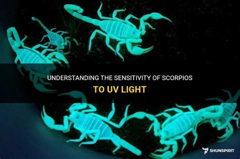 What are Scorpios sensitive to?