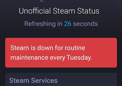 What are Steam support hours?