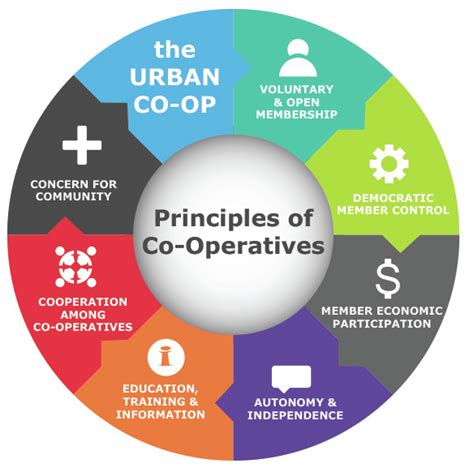 What are co-op values and principles?