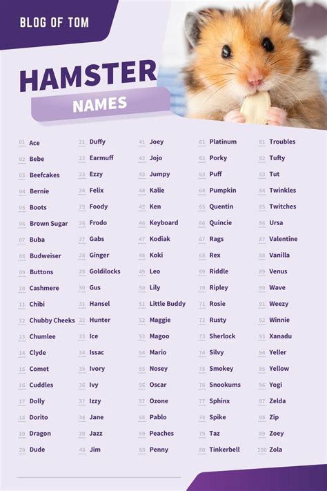 What are cute hamster names?