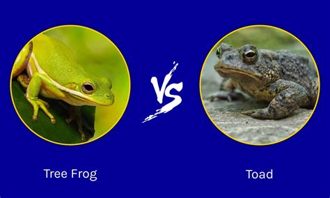 What are disadvantages of frogs?