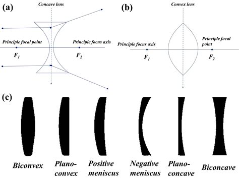 What are examples of lenticular lenses?