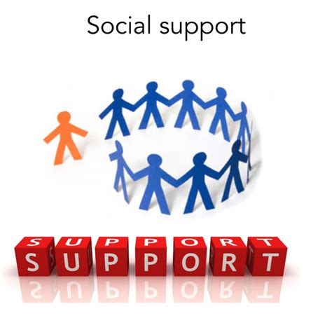 What are examples of social support?