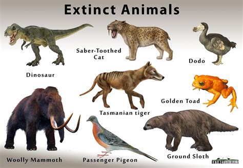 What are extinct animals?