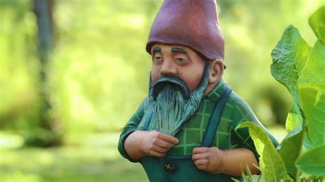 What are gnomes also called?