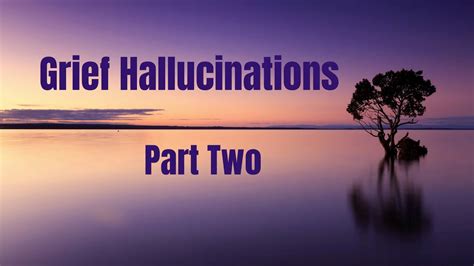 What are grief hallucinations?