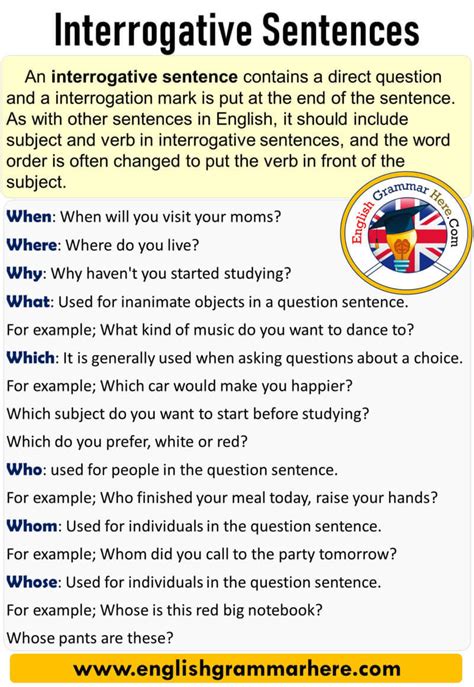 What are interrogative verbs?