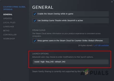 What are launch options in Steam?