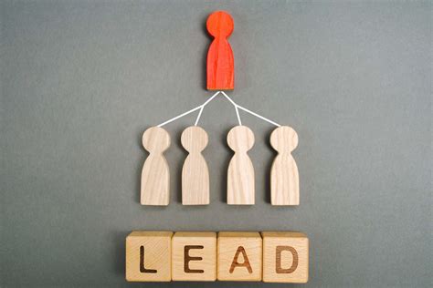 What are leads groups?
