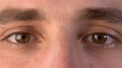 What are masculine eyes?