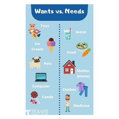 What are needs and wants in financial literacy?