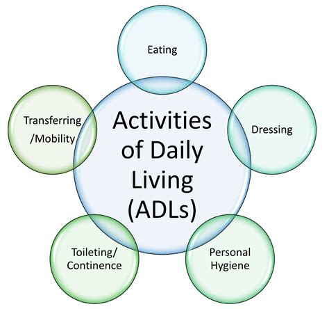What are personal activities of daily living?