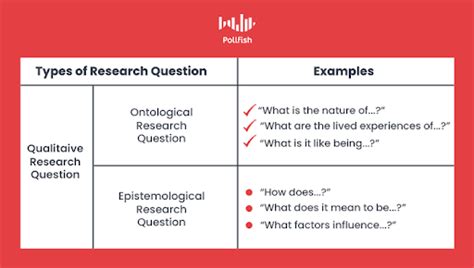 What are predictive questions in qualitative research?