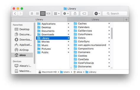 What are previous libraries on Mac?