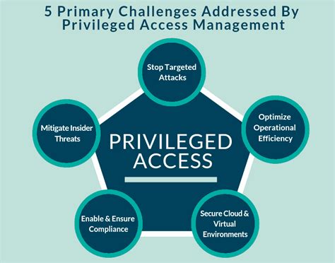 What are privileged access rights?