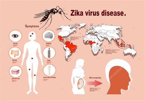 What are rare symptoms of Zika virus?