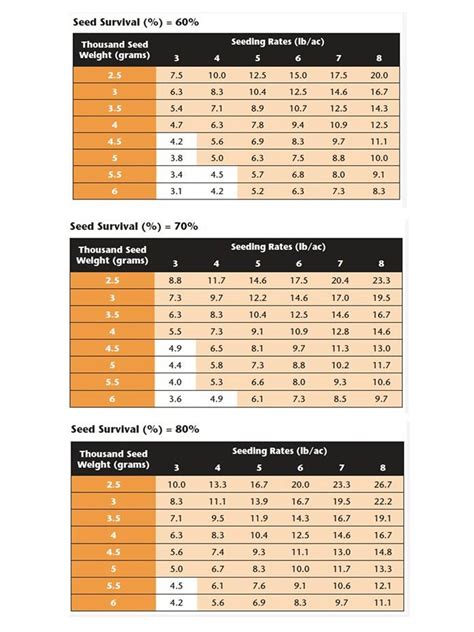 What are seed rates examples?