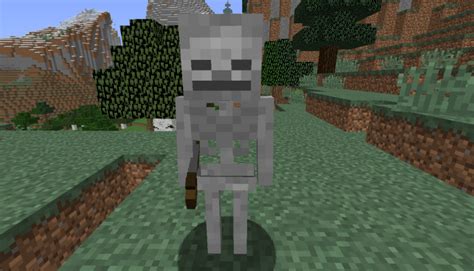 What are skeletons afraid of in Minecraft?