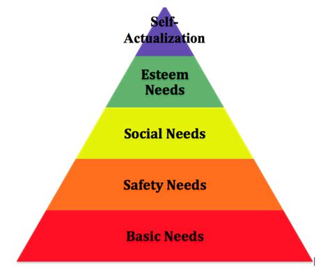 What are social needs?