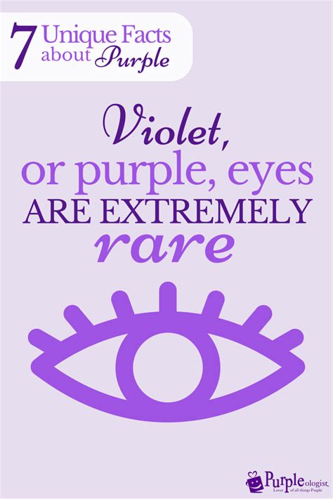 What are some fun facts about purple?