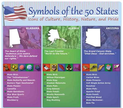 What are state symbols?