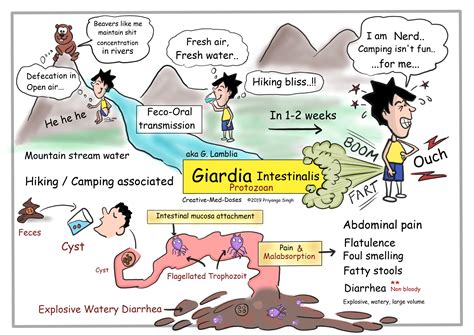 What are symptoms of Giardia in humans?