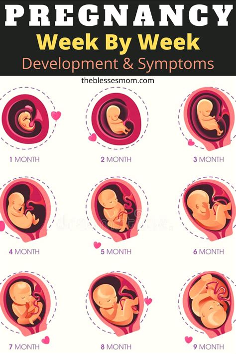 What are symptoms of pregnancy at 1 week?